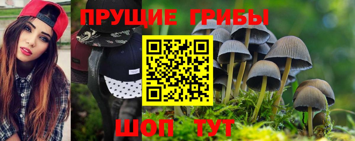 Галлюциногенные грибы мухоморы Краснокаменск