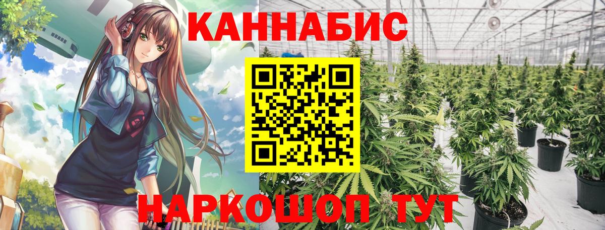 Канабис ГИДРОПОН  Марихуана гибрид  Вход с VPN  Краснокаменск 